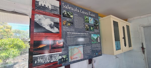 Saleaula