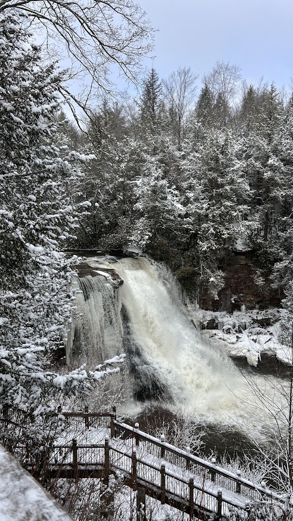 Swallow Falls State Park 4