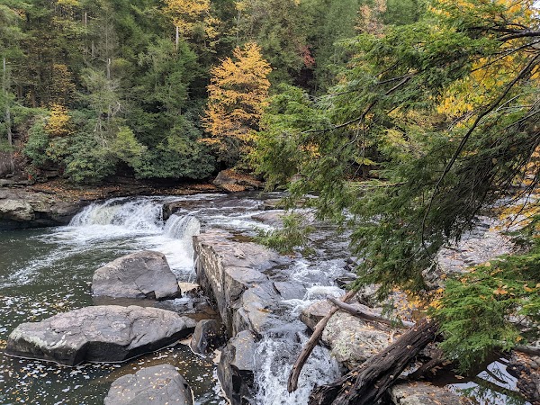 Swallow Falls State Park 3