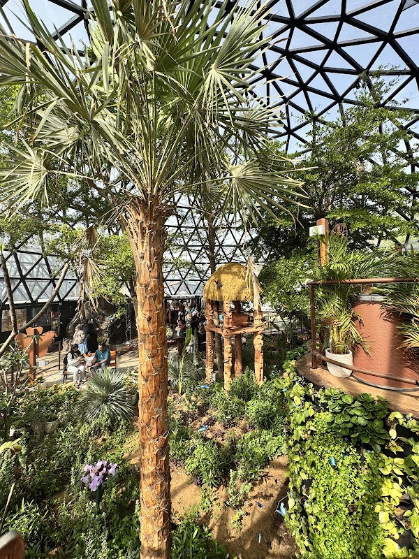 The Butterfly Gardens Abu Dhabi