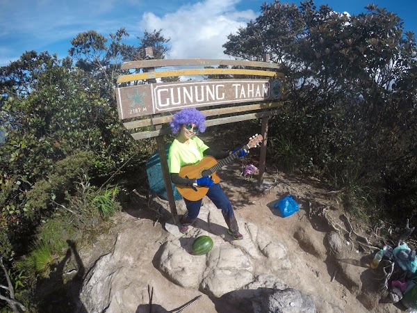Mount Tahan 5