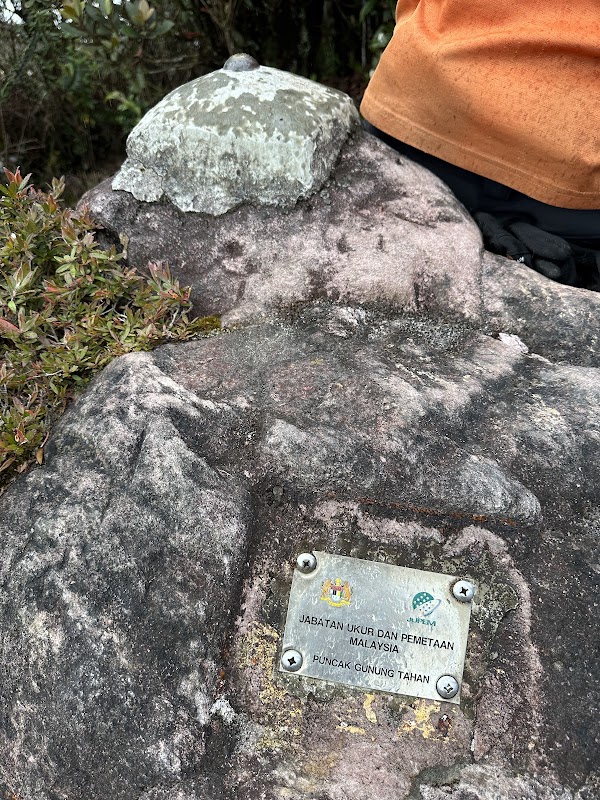 Mount Tahan 4