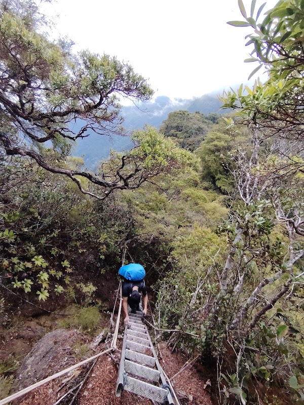 Mount Tahan 2