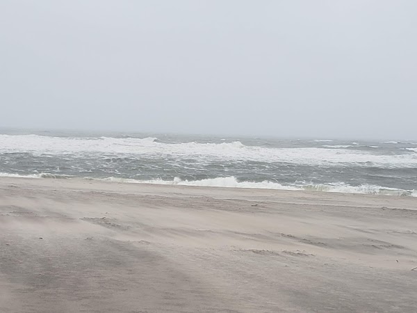Cooper's Beach