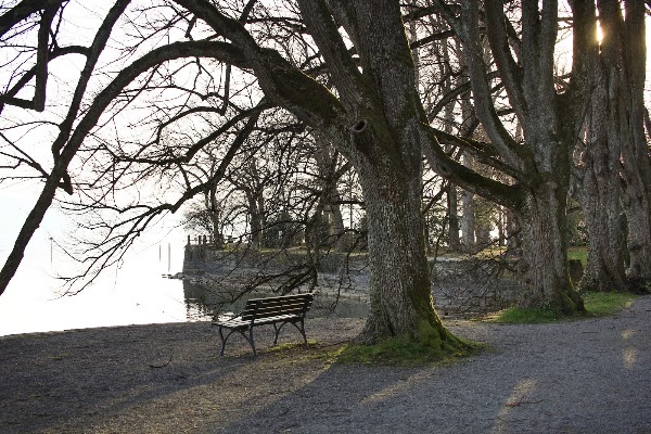 Gartendenkmal Lindenhofpark Bodensee 4