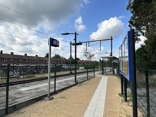 Rheden 1