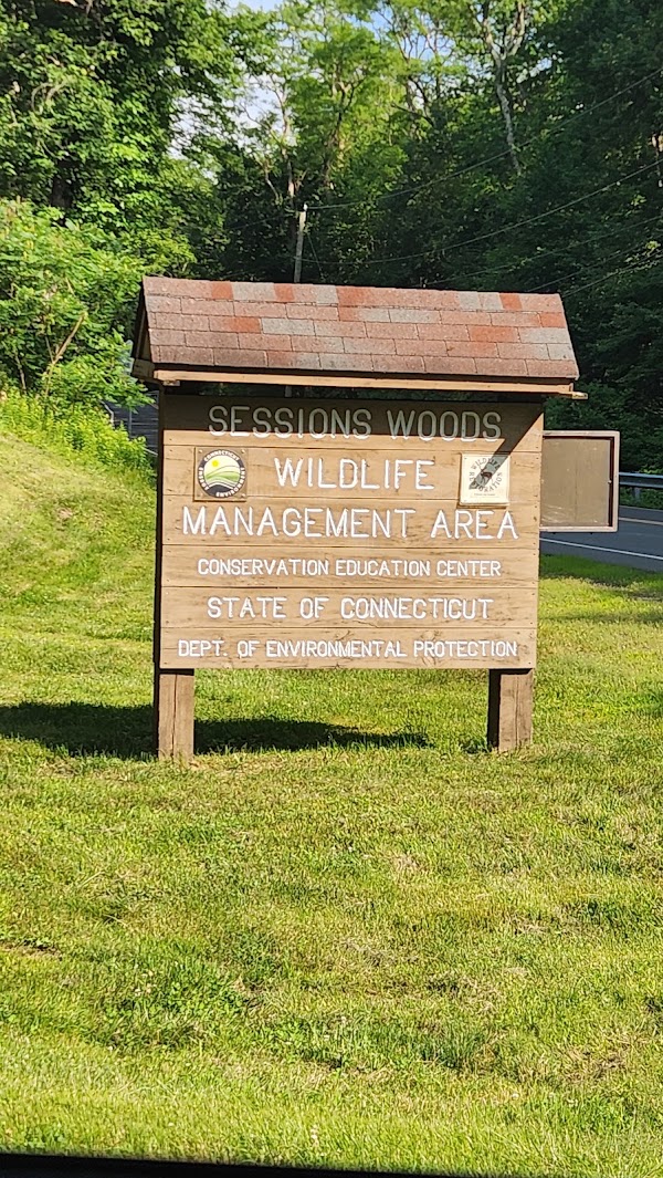 Sessions Woods Wildlife Management 1