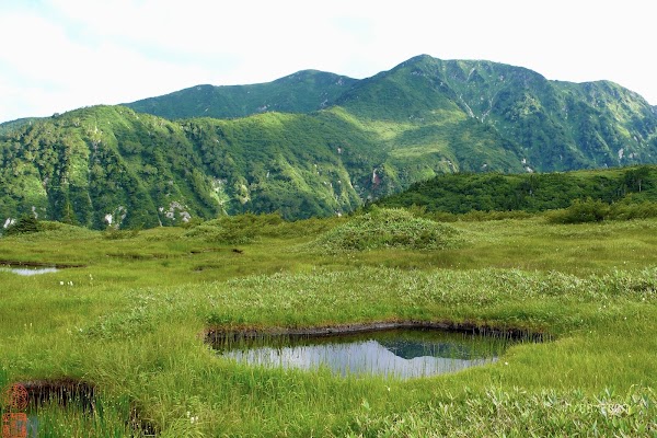 Midagahara (Tateyama) 5