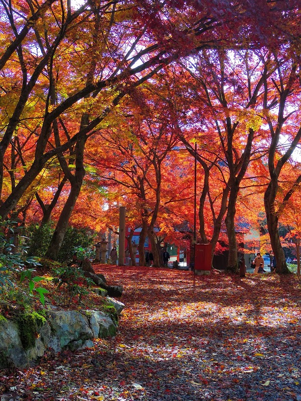 Kosanji 4