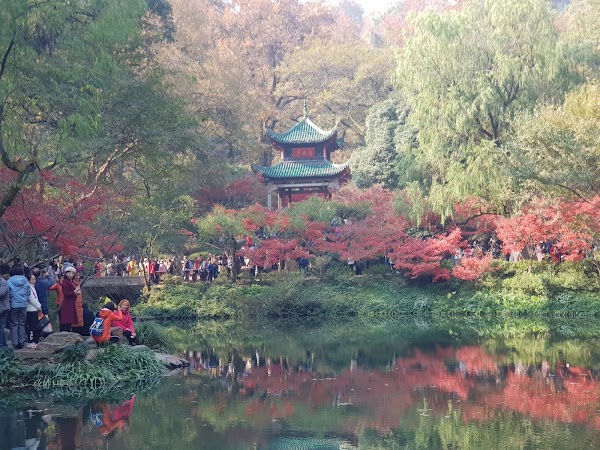 Changsha County 3