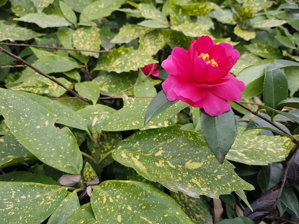 Changsha County 2