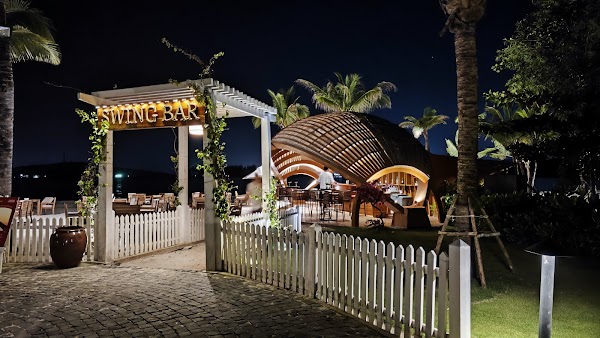 Swing Bar 1