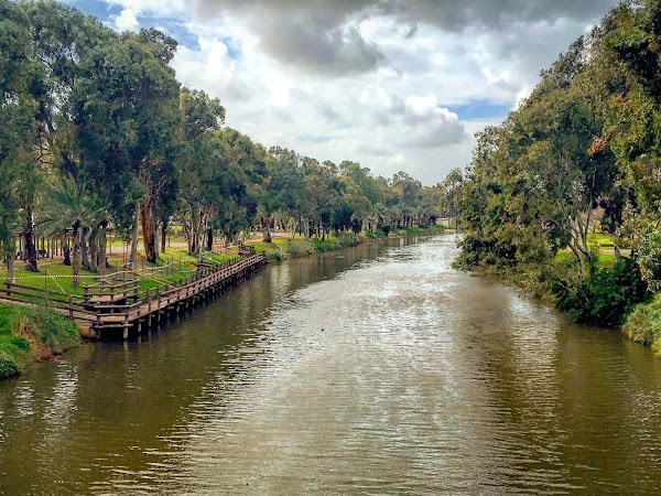 Yarkon Park 2