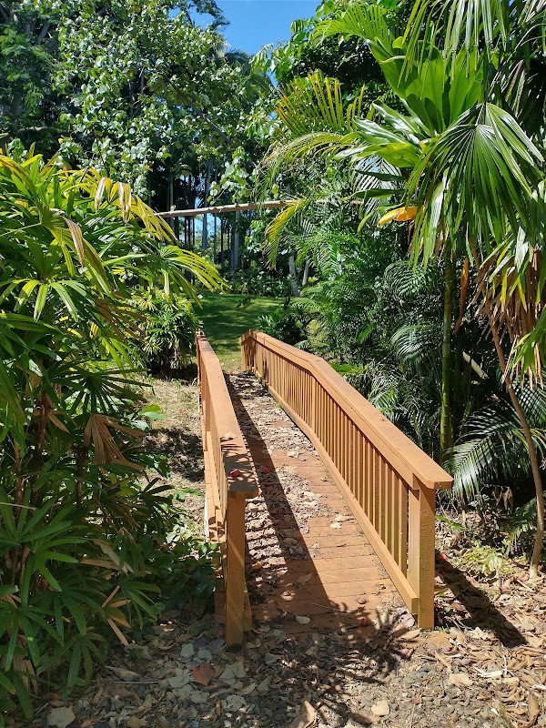Umauma Falls 3