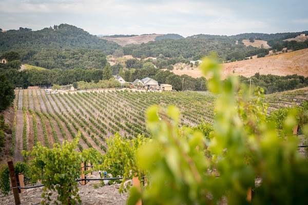 Clos Solène Winery 5