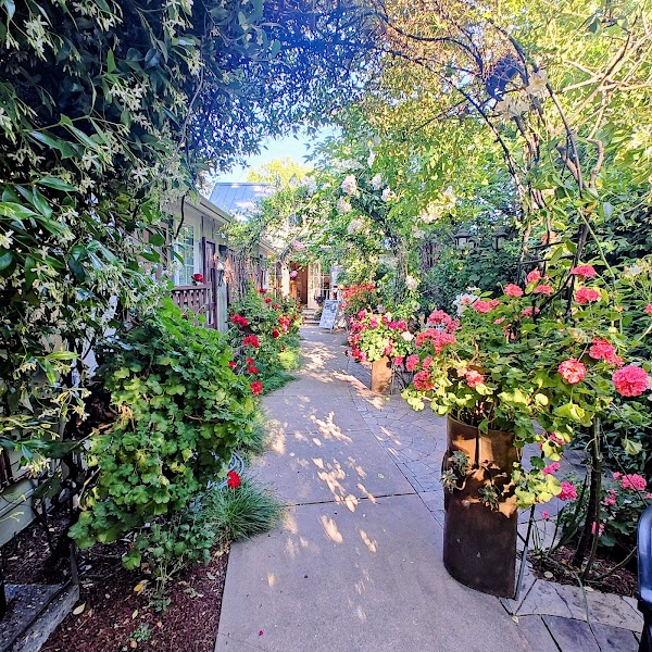 Romeo Vineyards & Cellars 5