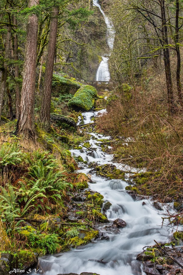 Wahkeena Falls 5