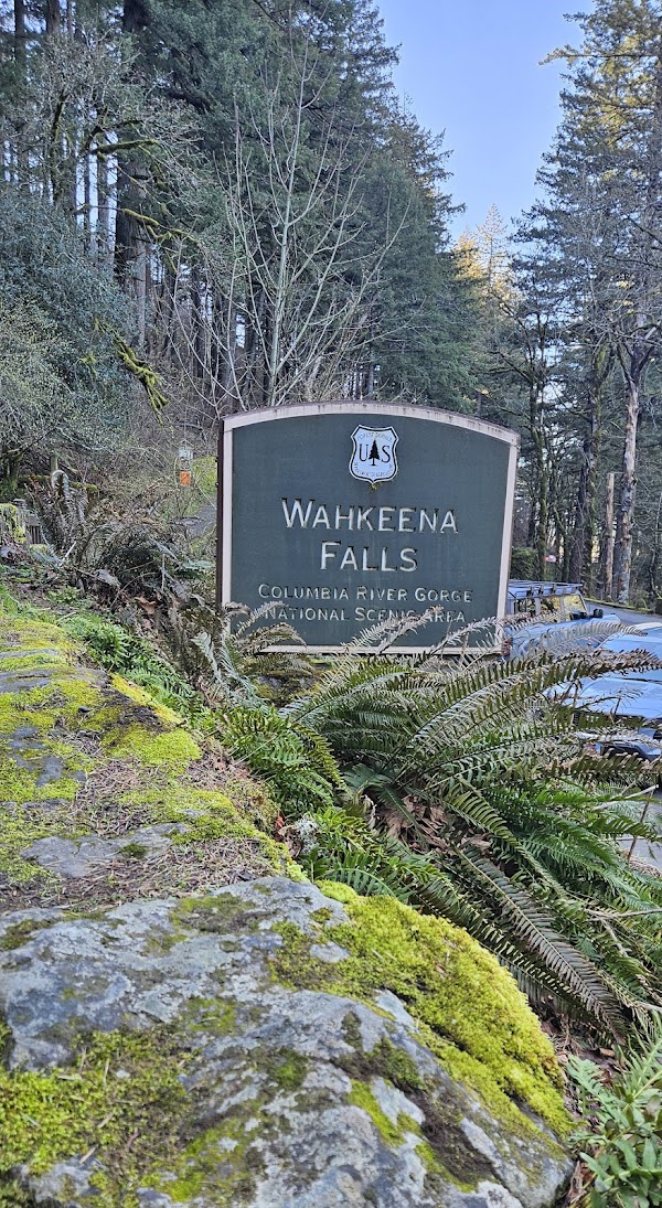 Wahkeena Falls 3