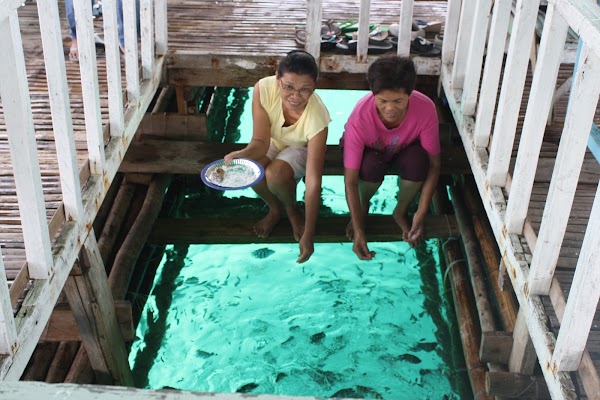 Looc Fish Sanctuary