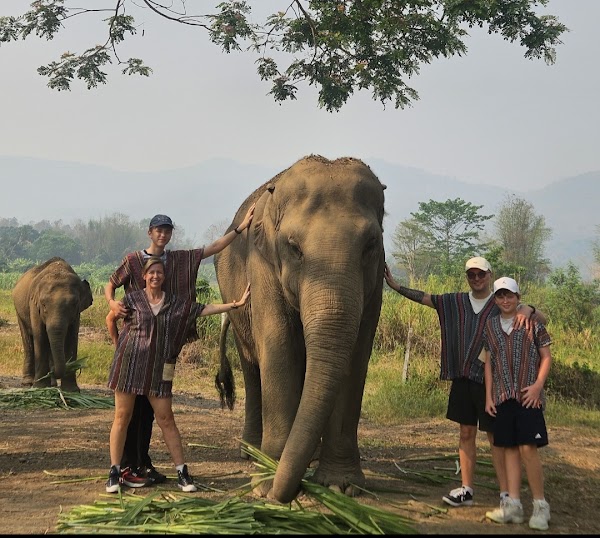 Elephant Jungle Sanctuary (Office) 5