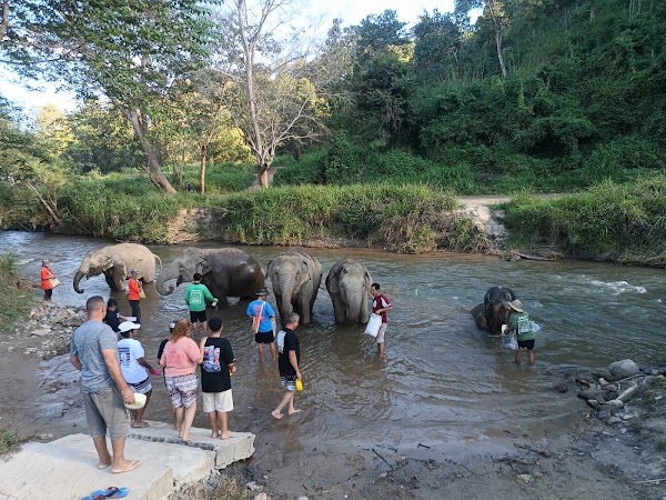 Elephant Jungle Sanctuary (Office) 3