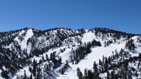 Big Bear Mountain Resort 5