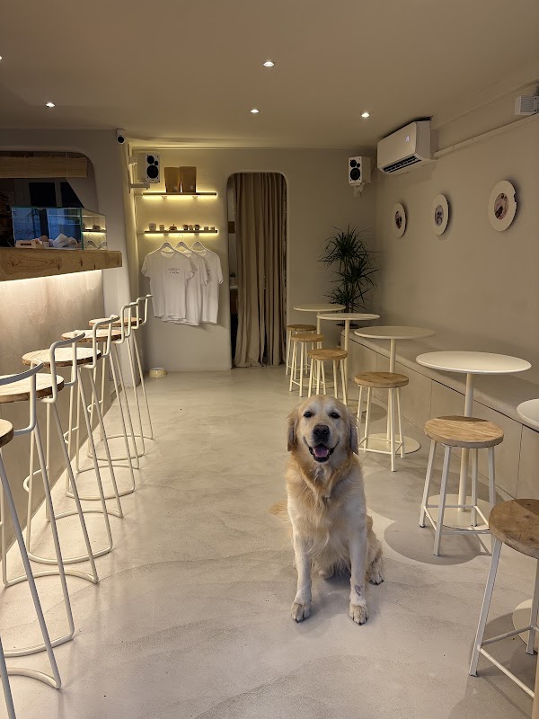 M.A.M.I. Café
