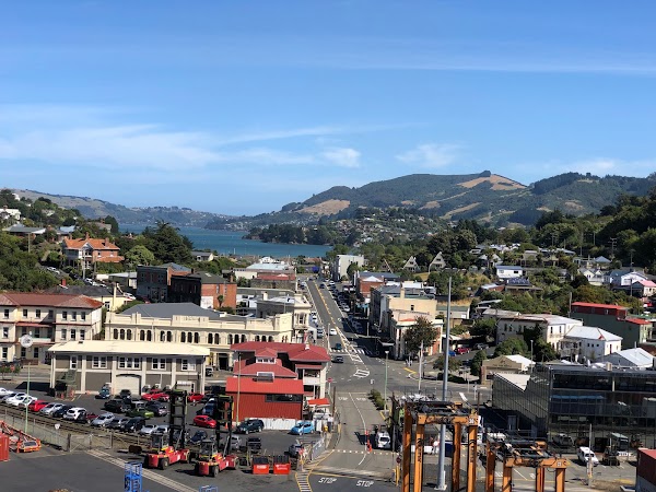 Dunedin 3