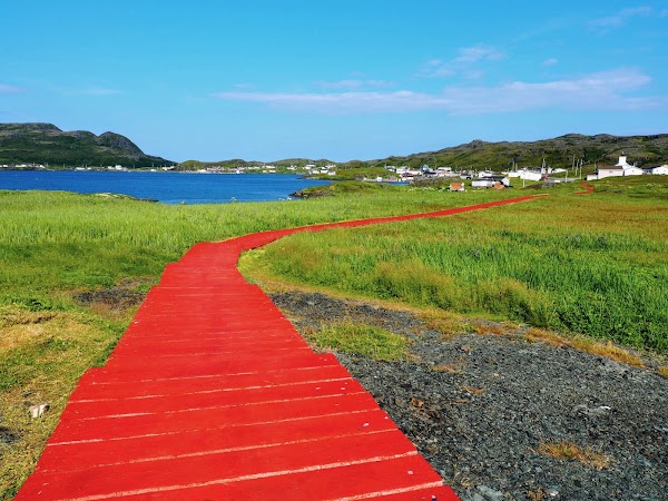 Goose Cove