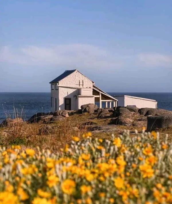 Cabo Polonio 5