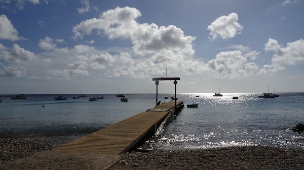 Curaçao 🪼 17