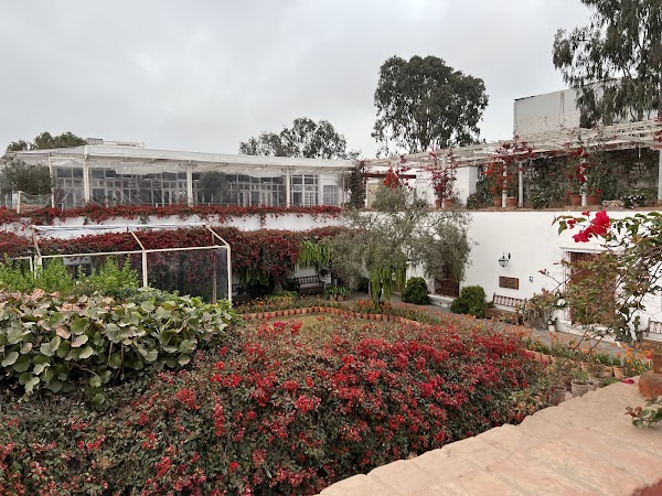 Larco Museum 4