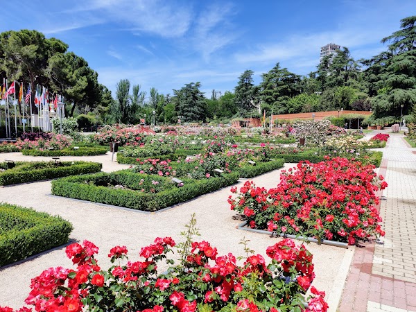 Rosaleda del Parque del Oeste 1