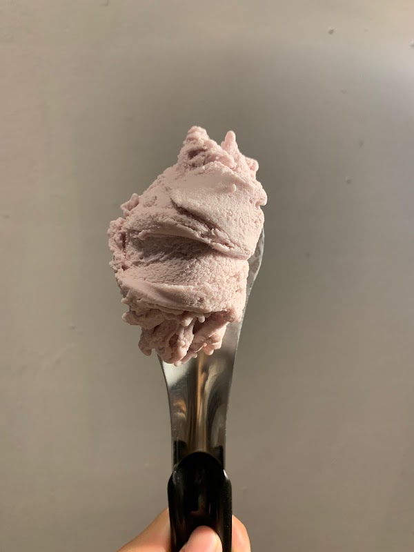 Takonoroom Gelato Store 5