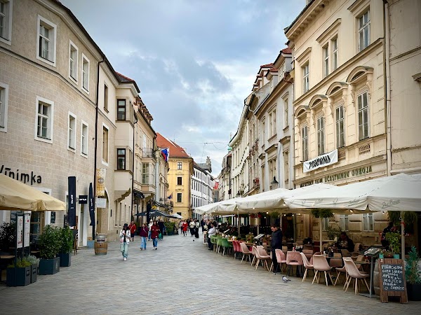 Discover Bratislava - Free & Private Walking Tours 5