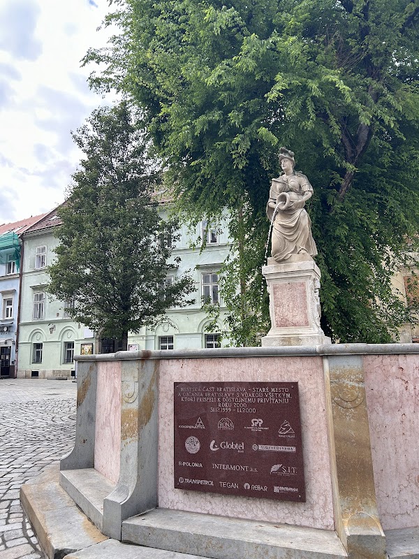 Discover Bratislava - Free & Private Walking Tours 3