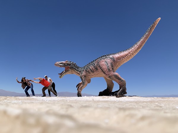 Salinas Grandes 2