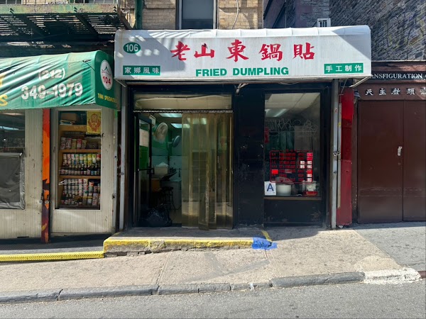 Fried Dumpling 4