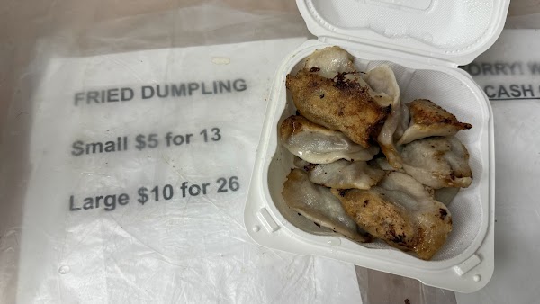Fried Dumpling 3