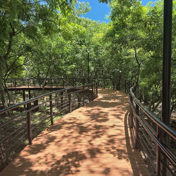 Parque Chaparrastique 4