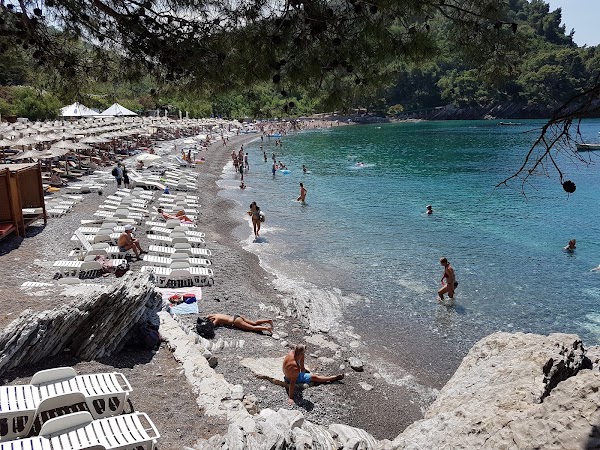 Lučice