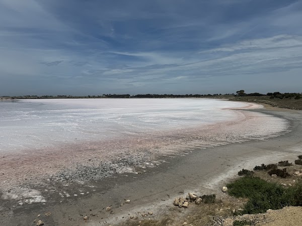 Pink Lake