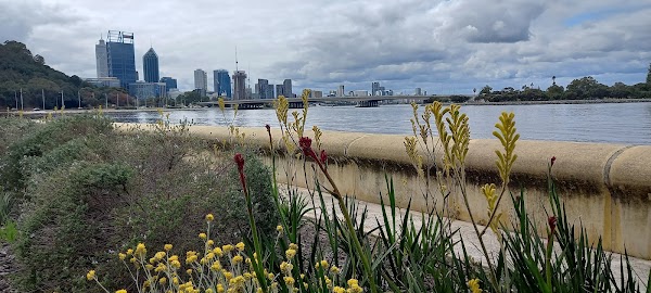 Perth 1