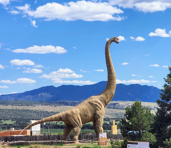 Royal Gorge Dinosaur Experience 4