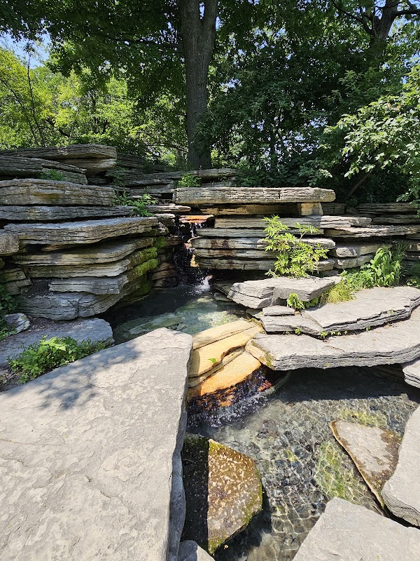 Alfred Caldwell Lily Pool 5