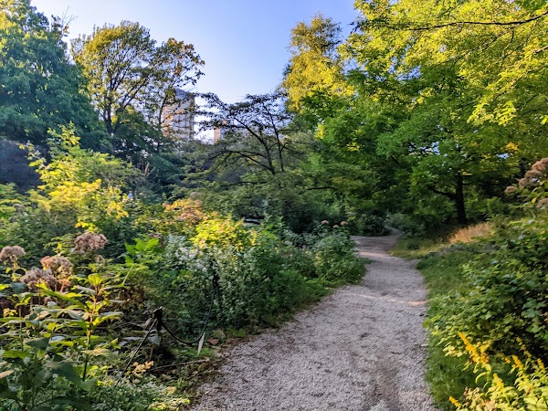 Alfred Caldwell Lily Pool 3