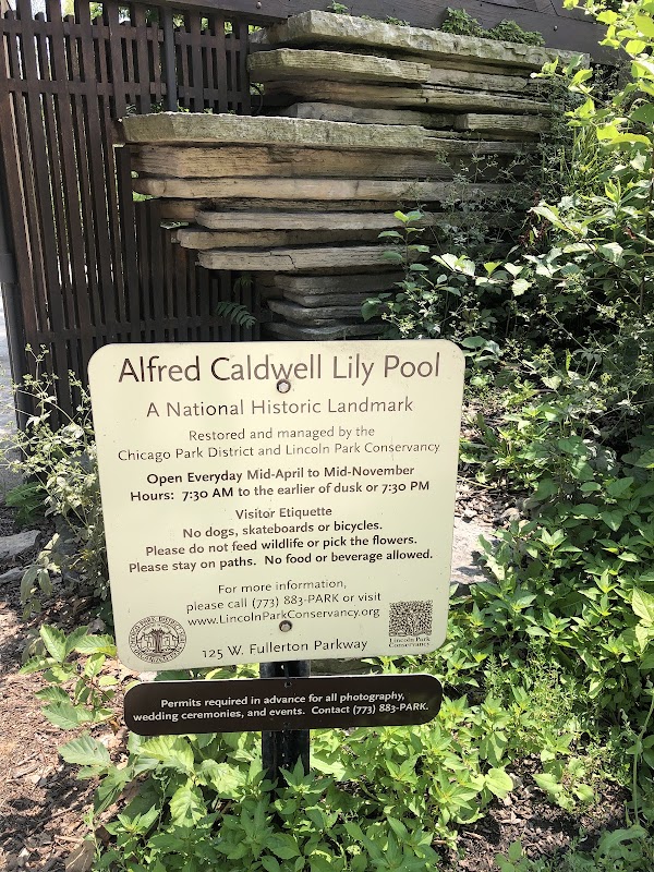 Alfred Caldwell Lily Pool 2