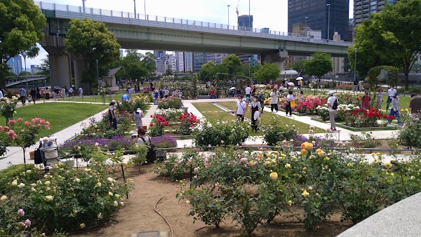 Nakanoshima Park 5