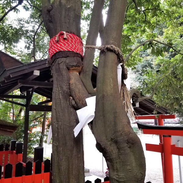 Aioi-no-yashiro Shrine 3