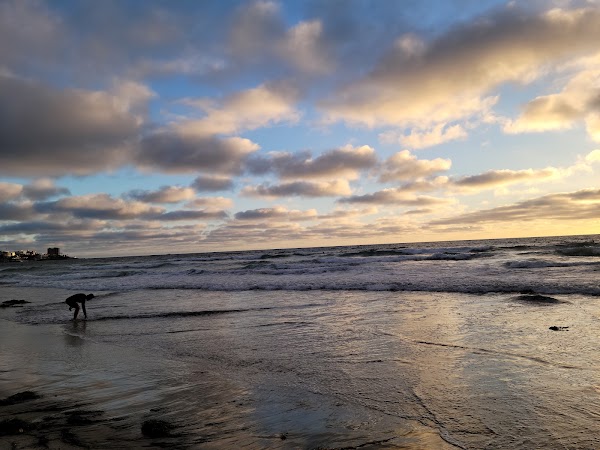 La Jolla Shores 5